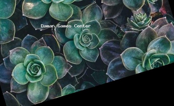 Cricket 19 India localization Cricket 19 Indian version showing Hindi interface and Indian stadium