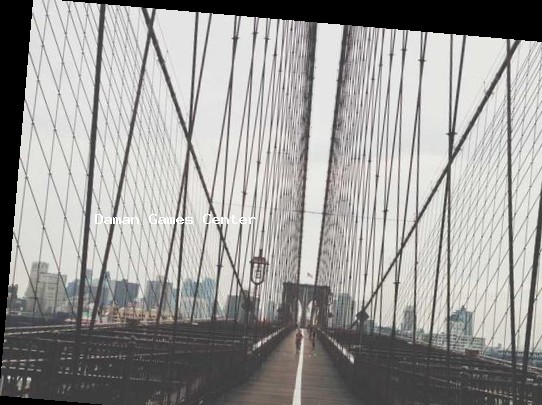 Cricket 19 future updates Cricket 19 future updates preview showing upcoming features